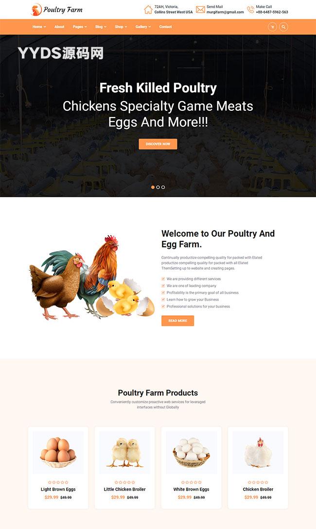 家禽农场有机食品网站模板