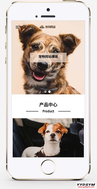 (自适应手机端)宠物商店宠物装备类网站pbootcms模板 宠物网站源码下载